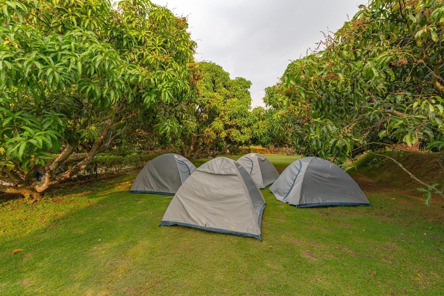 Q Mango Resort Ramanagara Экстерьер фото