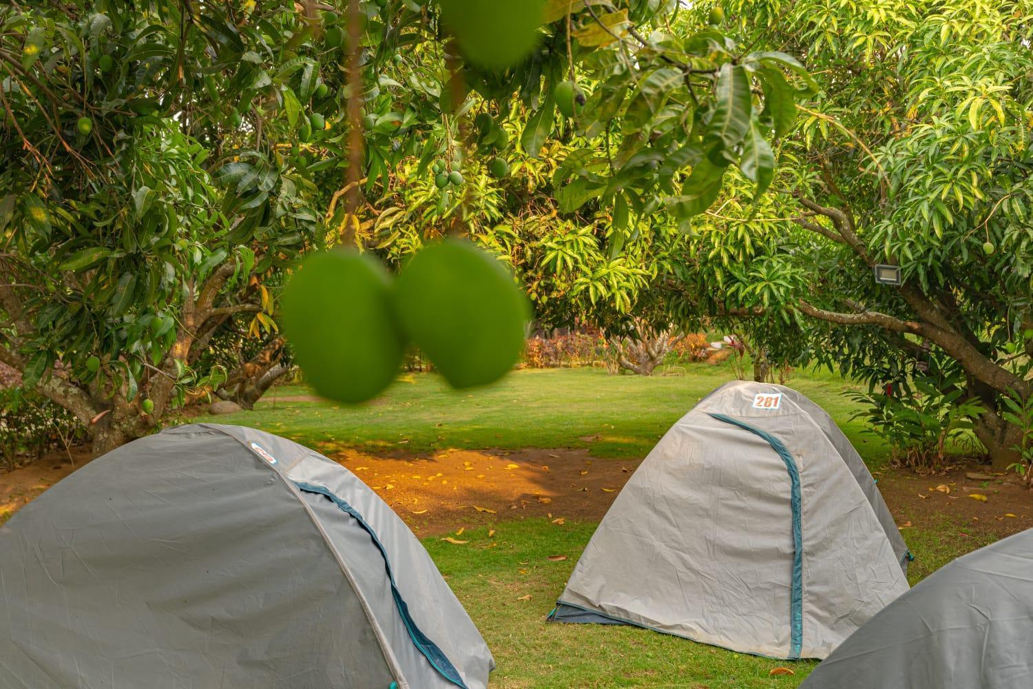 Q Mango Resort Ramanagara Экстерьер фото